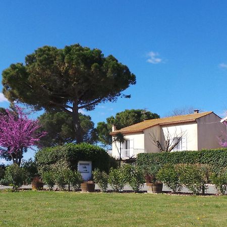 A L'Oree Des Vignes Montady Екстериор снимка