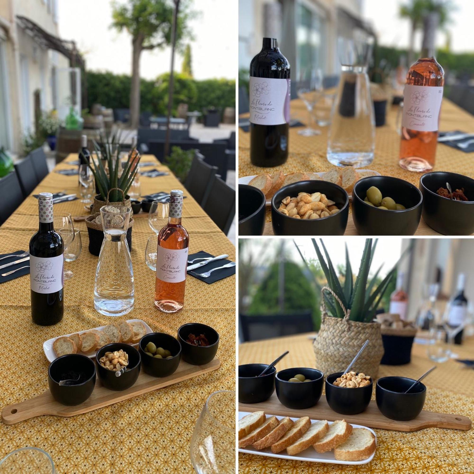 A L'Oree Des Vignes Montady Екстериор снимка